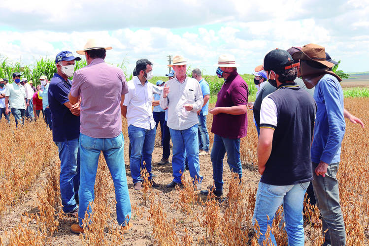 /Caravana percorreu áreas de plantio de produtores e de pesquisa da Embrapa como forma de mostrar os avanços do segmento de grãos em Alagoas